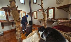 Engelli kedilerin villalarda soba keyfi