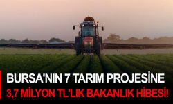 Bursa'nın 7 tarım projesine 3,7 milyon TL'lik bakanlık hibesi!