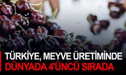 Türkiye, meyve üretiminde dünyada 4'üncü sırada