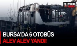 Bursa'da 6 otobüs alev alev yandı!