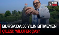 Bursa’da 30 yılın bitmeyen çilesi; 'Nilüfer Çayı'