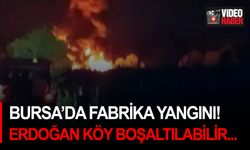 Bursa’da fabrika yangını! Erdoğan Köy boşaltılabilir...