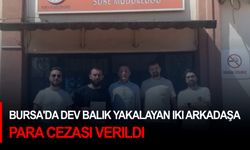 Bursa'da dev balık yakalayan iki arkadaşa para cezası verildi