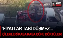 'Fiyatlar tabi düşmez'... Çilekleri kasa kasa çöpe döktüler!