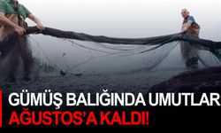 Gümüş balığında umutlar Ağustos’a kaldı!