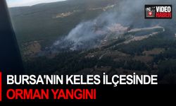 Bursa'nın Keles ilçesinde orman yangını