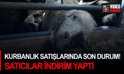 Kurbanlık satışlarında son durum! Satıcılar indirim yaptı...