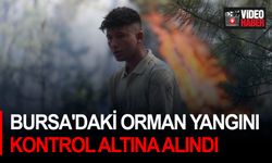 Bursa'daki orman yangını kontrol altına alındı