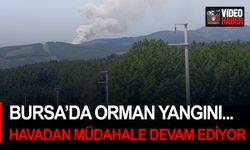 Bursa’da orman yangını... Havadan müdahale devam ediyor