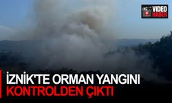 İznik'te Orman Yangını Kontrolden Çıktı