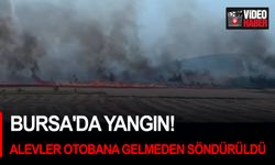 Bursa'da yangın! Alevler otobana gelmeden söndürüldü