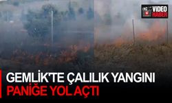 Gemlik'te Çalılık Yangını Paniğe Yol Açtı