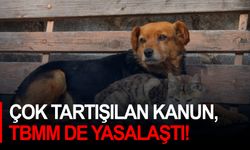 Çok tartışılan kanun, TBMM de yasalaştı!