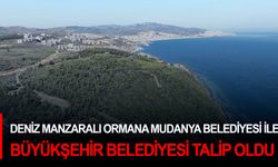 Deniz manzaralı ormana Mudanya Belediyesi ile Büyükşehir Belediyesi talip oldu