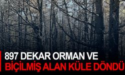 897 dekar orman ve biçilmiş alan küle döndü!