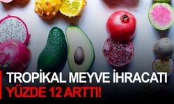 Tropikal meyve ihracatı yüzde 12 arttı!