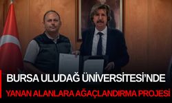 Bursa Uludağ Üniversitesi’nde yanan alanlara ağaçlandırma projesi