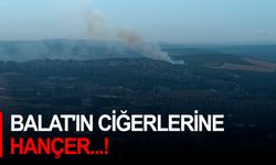 Balat'ın ciğerlerine Hançer...!