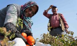 Bakanlıktan çiftçilere destek geldi