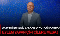 AK Parti Bursa İl Başkanı Davut Gürkan'dan eylem yapan çiftçilere mesaj