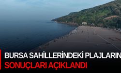 Bursa sahillerindeki plajların sonuçları açıklandı