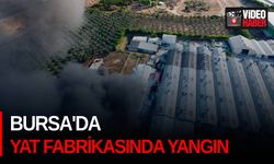 Bursa'da yat fabrikasında yangın