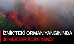 İznik’teki orman yangınında 30 hektar alan yandı