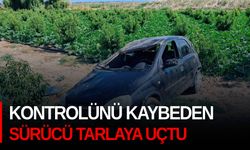 Kontrolünü kaybeden sürücü tarlaya uçtu