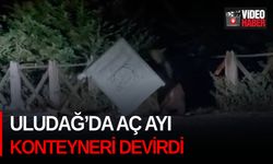 Uludağ’da aç ayı konteyneri devirdi