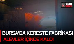 Bursa’da kereste fabrikası alevler içinde kaldı