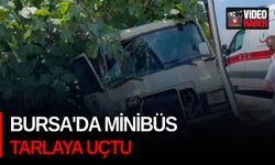 Bursa'da minibüs tarlaya uçtu