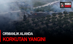 Ormanlık alanda korkutan yangın