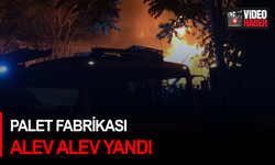 Palet fabrikası alev alev yandı