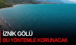 İznik Gölü bu yöntemle korunacak