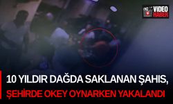 10 yıldır dağda saklanan şahıs, şehirde okey oynarken yakalandı