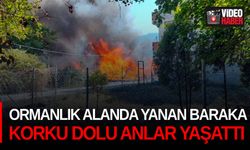 Ormanlık alanda yanan baraka korku dolu anlar yaşattı