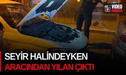 Seyir halindeyken aracından yılan çıktı