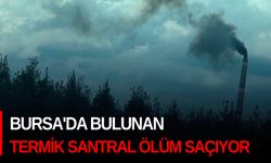 Bursa'da bulunan Termik Santral ölüm saçıyor