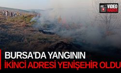 Bursa'da yangının ikinci adresi Yenişehir oldu