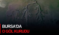 Bursa'da o göl kurudu