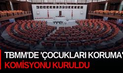 TBMM'de 'Çocukları Koruma' komisyonu kuruldu