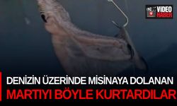 Denizin üzerinde misinaya dolanan martıyı böyle kurtardılar