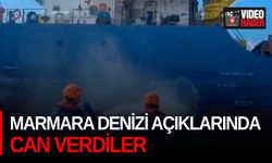 Marmara Denizi açıklarında can verdiler