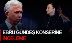 Ebru Gündeş konserine inceleme