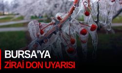 Bursa'ya zirai don uyarısı