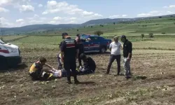 Bursa'dan Kalkan Uçak Bilecik'te Ters Döndü! Pilot Hastanede