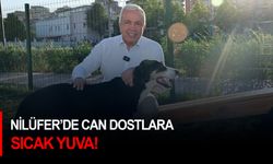 Nilüfer’de can dostlara sıcak yuva