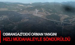 Osmangazi'deki orman yangını hızlı müdahaleyle söndürüldü