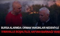 Bursa alarmda: orman yangınları nedeniyle 9 mahalle boşaltıldı, hayvan barınağı yandı!