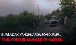 Bursa’daki yangınlarda son durum... Tahliye edilen mahalle ve haneler...